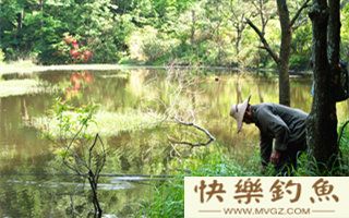 民间草把做窝钓草、鳊鱼技巧