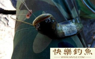 民间传统懒汉钓鲶鱼法介绍