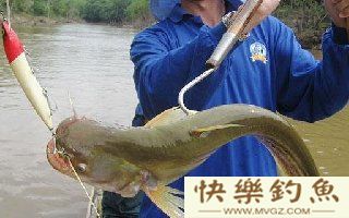 野钓鲶鱼常用的五种好的垂钓方法