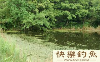 野钓鲶鱼时依据水情鱼情选择钓位技巧