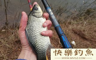 浅谈冬季鱼的活性及野钓鲫鱼技巧