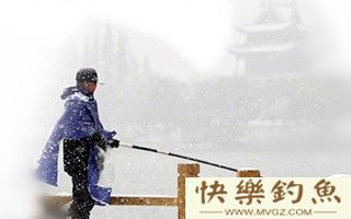 初冬野钓鲫鱼的钓饵搭配和钓具钓法技巧