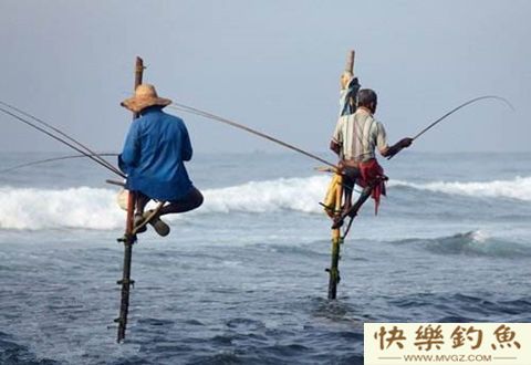 鲫鱼的食性及冬钓大鲫十技巧