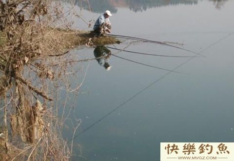 天冷钓不到鱼到底是哪里出错了？