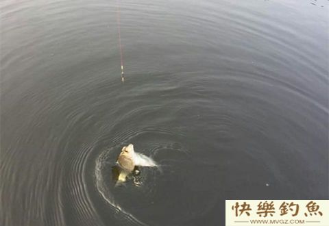 冬季野钓窍门，上鱼率提高三倍！