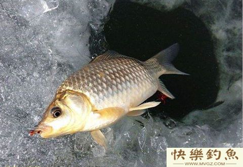 浅谈冰钓钓点的选择要点
