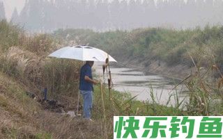 沟渠小河野钓的钓场饵料选择技巧
