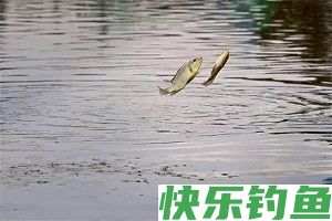 冬钓钓深钓浅的利弊谈