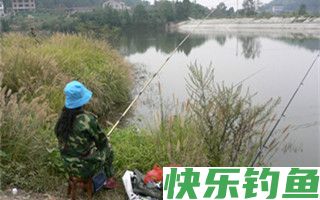 深冬初春野外钓鱼宜选小水域