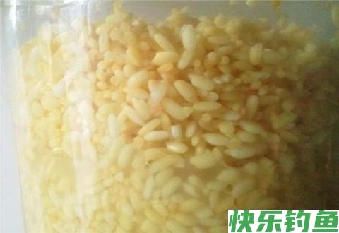 高手分享秘制酒米窝料配方，帮你冬天钓鲫鱼爆护