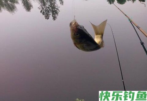 如何在寒冷的冬天里钓到大鱼，7个建议