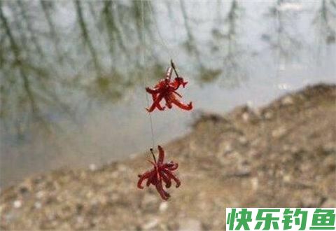 冬钓钓鱼用饵和调漂的几个注意事项