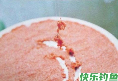 冬季黑坑钓鱼调漂、选择钓点、配制鱼饵要做哪些调整