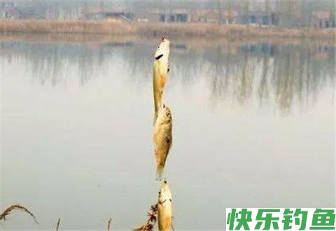 冬季串钩老少皆宜的野钓方法