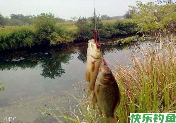 冬季野钓鲫鱼，把握号这三点，一定能提升上