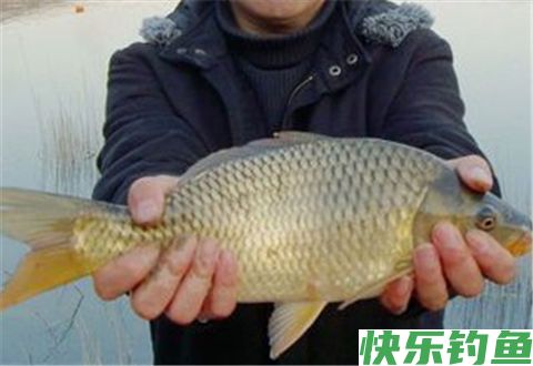 冬季钓鱼几个易被忽视的小技巧