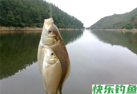 冬钓的经验都在这一篇里