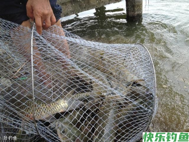 冬钓野钓，方法用对，轻松上鱼