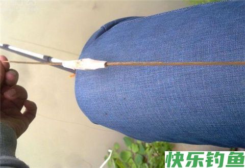 冬季钓鱼浮漂到底该怎么调？