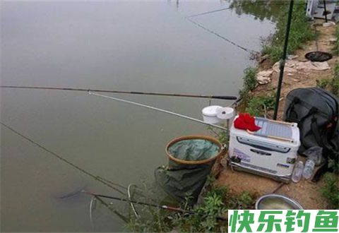 冬天钓鱼，钓鲫鱼要走，钓鲤鱼要守