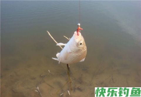 冬季野钓，线组的应用很重要