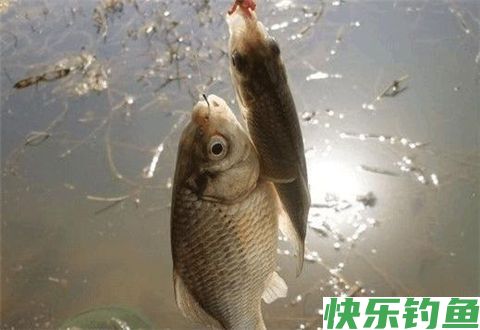 这8个阴天钓鱼技巧学会后不比晴天差