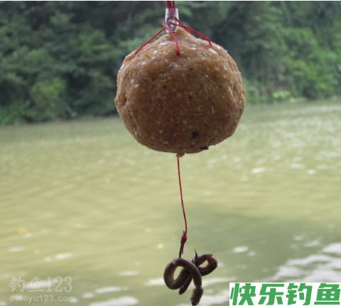 （钓鱼学堂）钓罗非鱼的必杀饵料配方，你知道吗？
