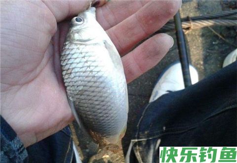 钓友应当知晓的冬季钓鱼五不钓