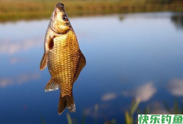 冬季野钓，钓点有鱼，却总是不咬钩！幸亏我用了这几招，屡试不爽