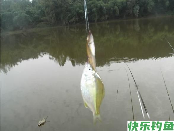 野钓有哪些特点和注意事项？
