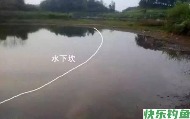 钓鱼找鱼道，不怕没鱼钓，在野钓中怎么精准