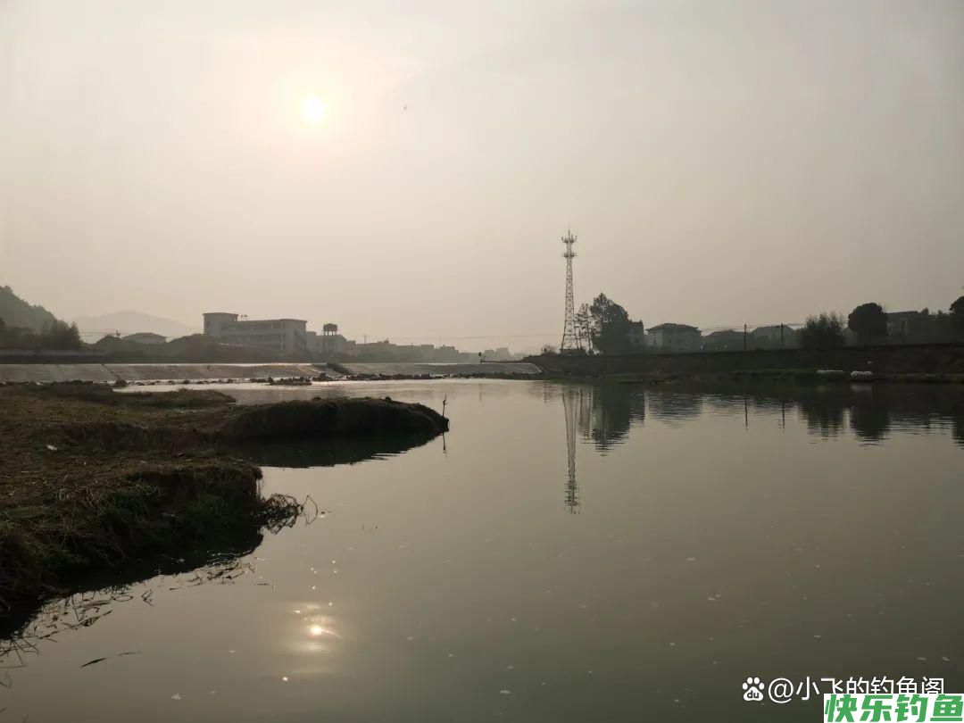 只钓2小时就能顶别人半天的鱼获！野钓务必