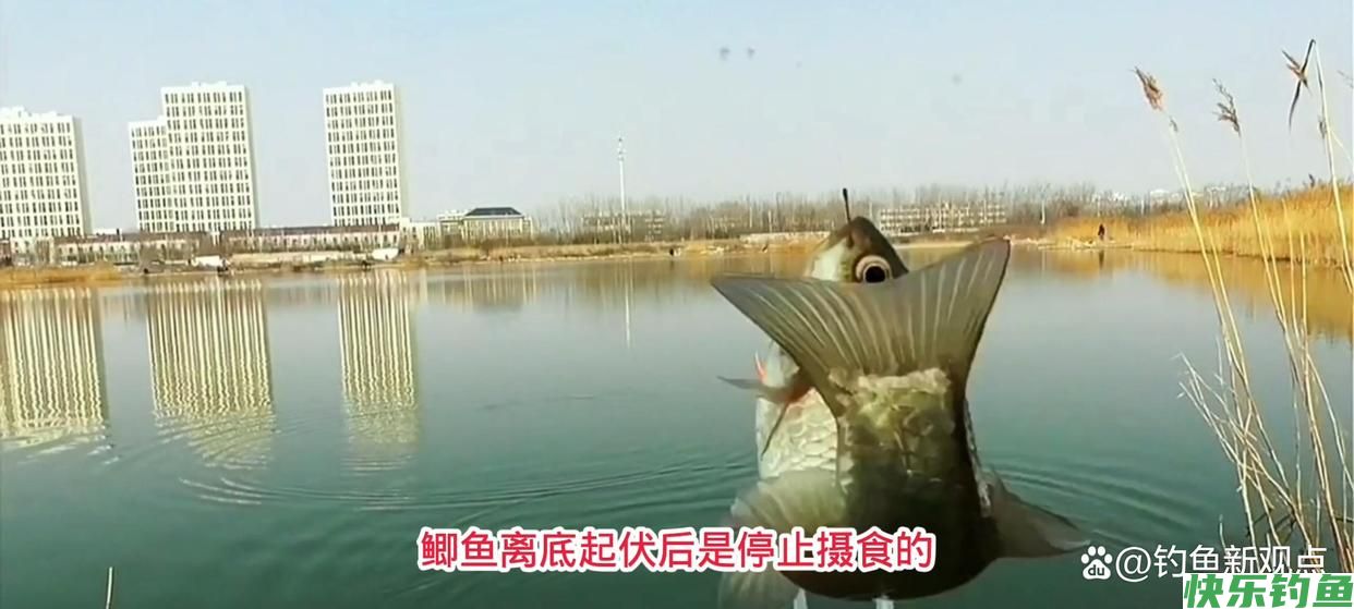春季如何野钓鲫鱼，老钓鱼人的应对方法值得