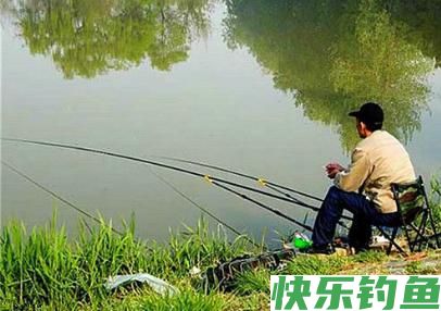 野钓符合这几个特点，很快钓到鱼