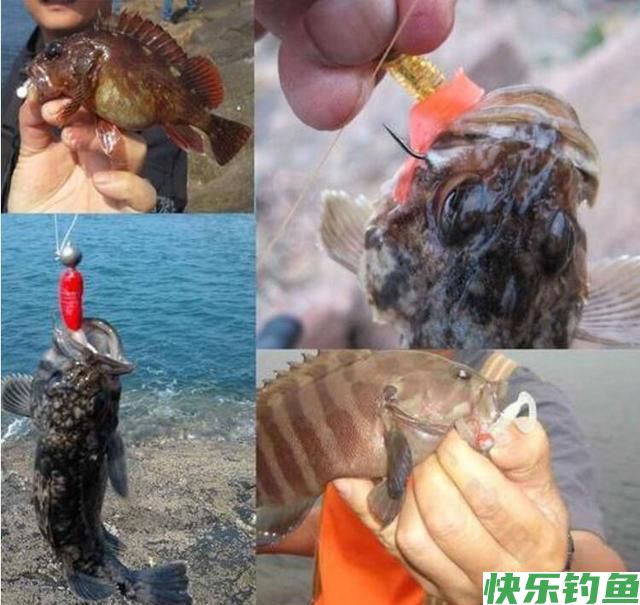 拖曳钓你会吗？野钓客教你！
