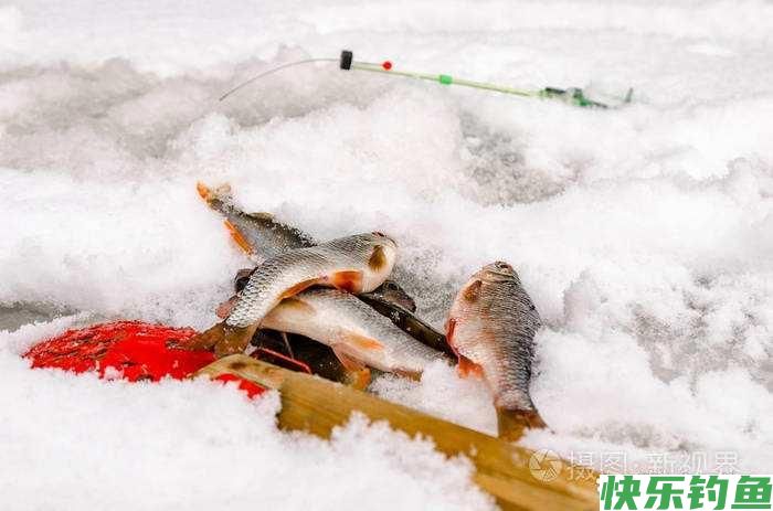 野钓大板鲫，冬天大板鲫都藏在哪里了