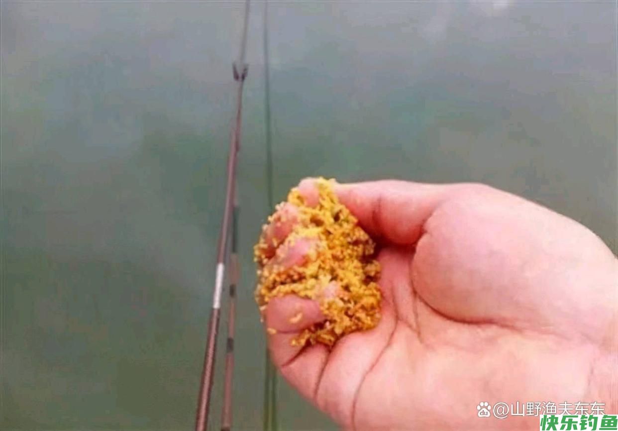 秋季野钓如何打窝？需要掌握四个要点，才能
