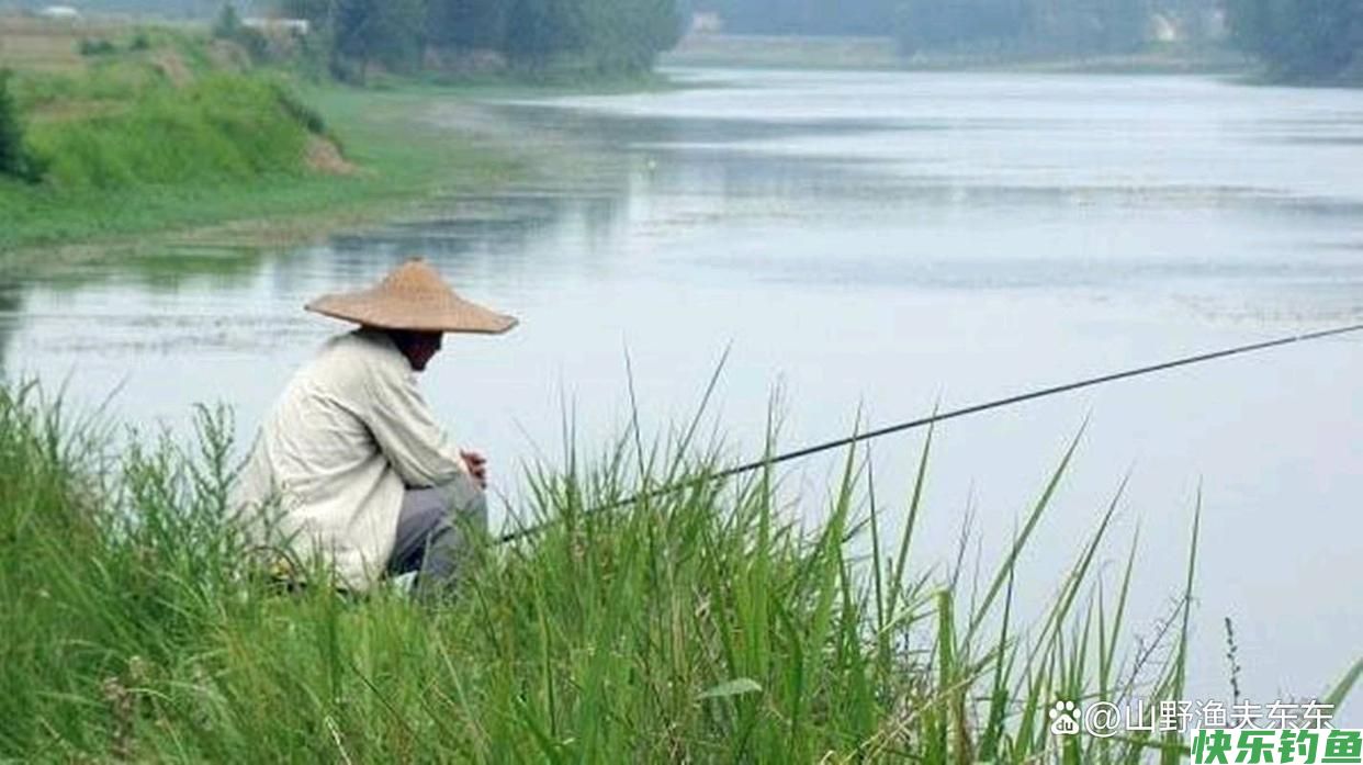 秋天野钓如何判断鱼情？牢记五点，连竿上鱼