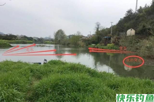 鳊鱼难钓？试试这五大招，招招有鱼来！新手学了马上爆护