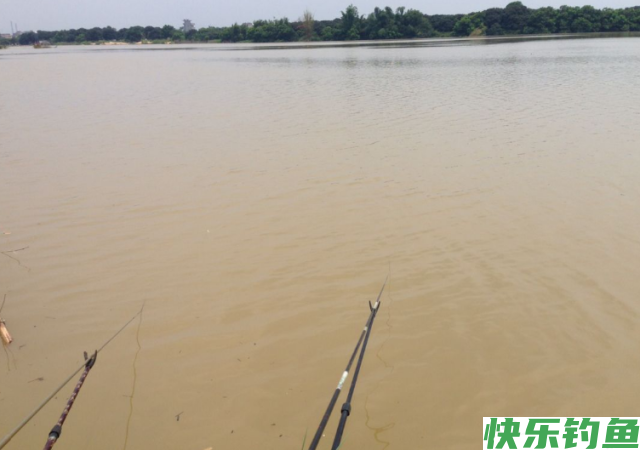 新手钓鳊鱼时，想要满载而归，就看老钓友的垂钓技巧分享！