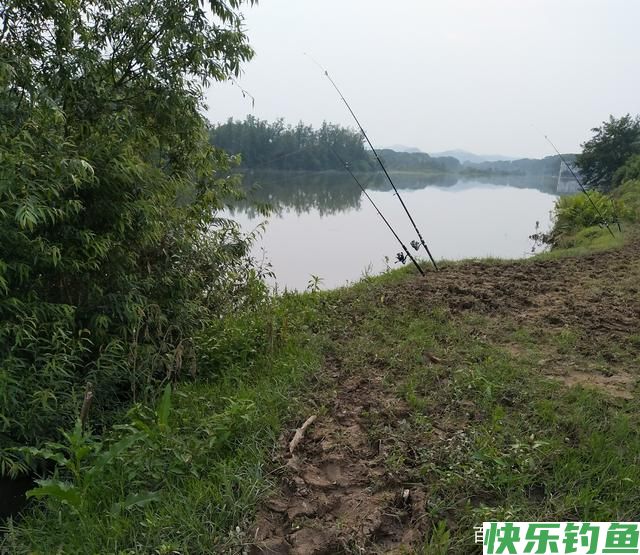 夏初钓鳊鱼的一些方法