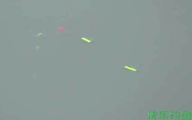 朝天钩挂玉米钓鲤鱼技巧和方法