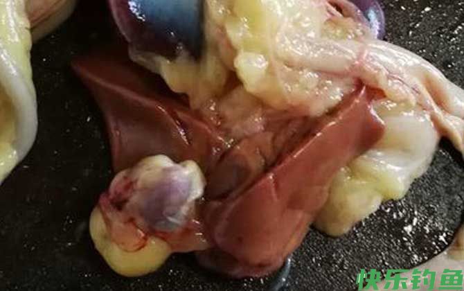 鸡肝钓鱼生的好还是熟好？