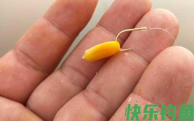 四月份用玉米粒可以钓鱼吗？