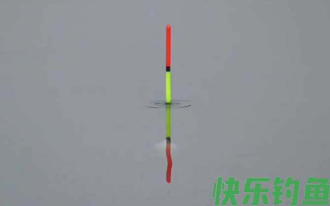 调四钓二为什么不适合野钓？