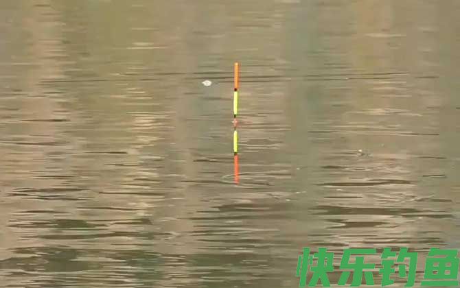 调四钓二