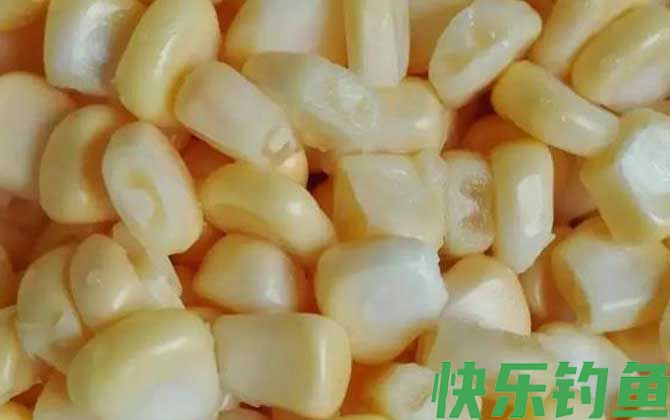 泡嫩玉米钓鲤鱼草鱼配方大全