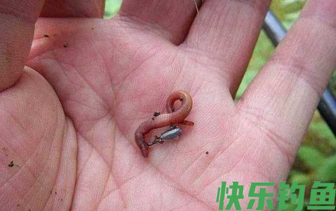 河边钓鱼最好的饵料是哪一款？