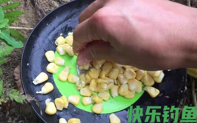新鲜玉米钓鱼效果好吗？