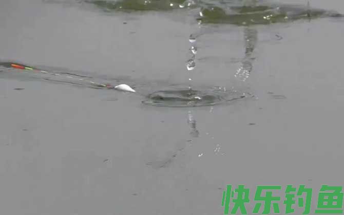 夏季钓鱼要钓底吗？